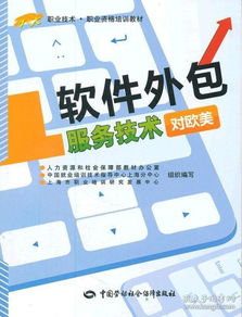 软件外包服务技术对欧美 职业技能与职业资格培训指南