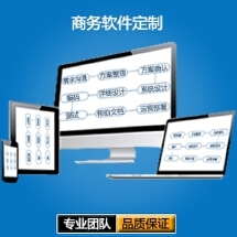 软件服务外包 价格体系详解与VIP九品服务模式